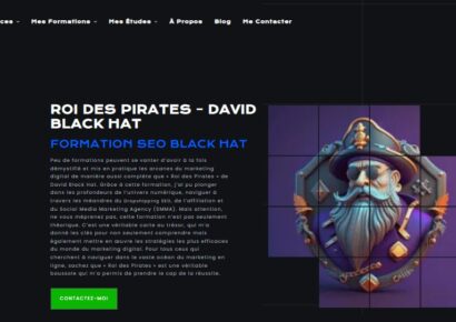 Formation Black Hat Seo 2023 David Black Hat - Kevin Grillot- Roid Des Pirates