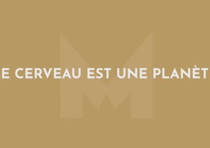 Comment libérer le potentiel de votre cerveau et réussir vos projets ? Idriss Aberkane