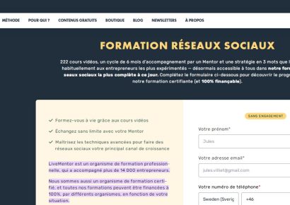 Formation Réseaux Sociaux Livementor