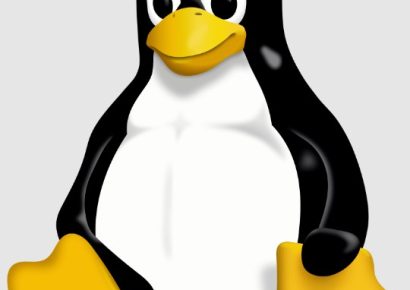 Linux Installation et administration d'un serveur