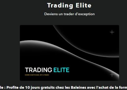 Elite Devenir un maitre dans lart du trading